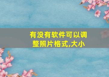 有没有软件可以调整照片格式,大小