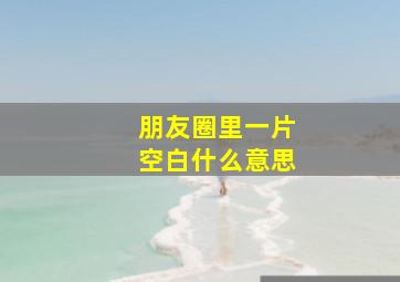 朋友圈里一片空白什么意思