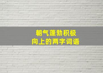 朝气蓬勃积极向上的两字词语