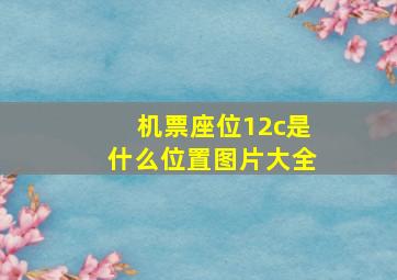 机票座位12c是什么位置图片大全