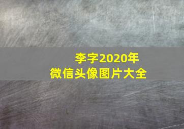 李字2020年微信头像图片大全