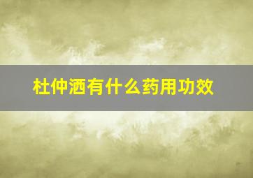 杜仲洒有什么药用功效