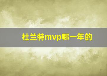 杜兰特mvp哪一年的