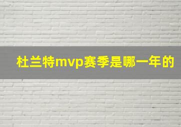 杜兰特mvp赛季是哪一年的