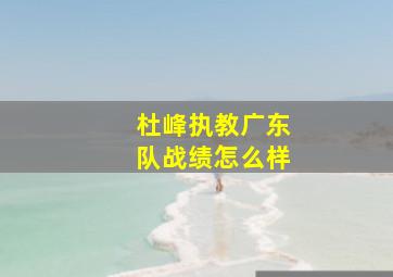 杜峰执教广东队战绩怎么样