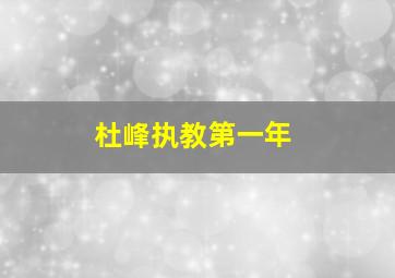 杜峰执教第一年