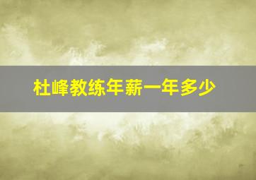 杜峰教练年薪一年多少