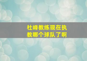 杜峰教练现在执教哪个球队了啊