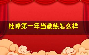 杜峰第一年当教练怎么样