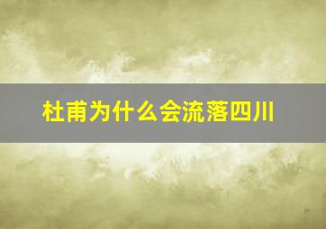 杜甫为什么会流落四川