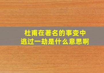 杜甫在著名的事变中逃过一劫是什么意思啊