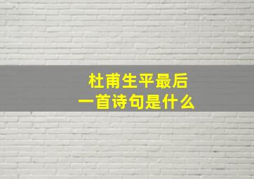 杜甫生平最后一首诗句是什么