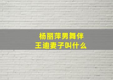 杨丽萍男舞伴王迪妻子叫什么