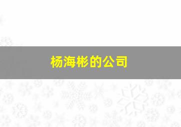 杨海彬的公司