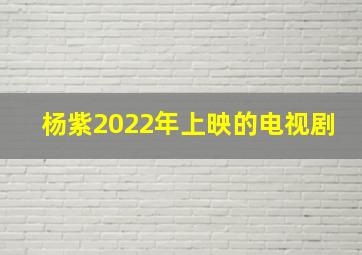 杨紫2022年上映的电视剧