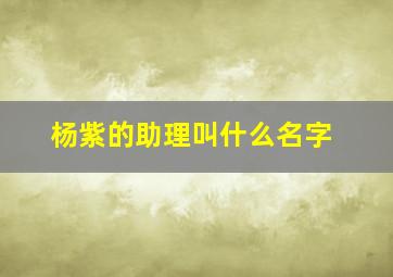 杨紫的助理叫什么名字