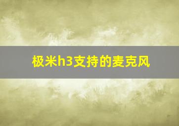 极米h3支持的麦克风