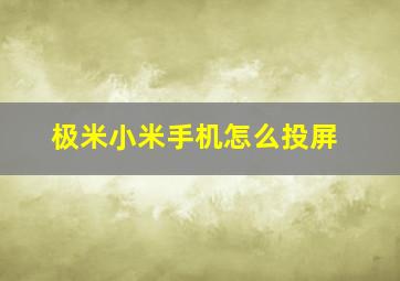 极米小米手机怎么投屏