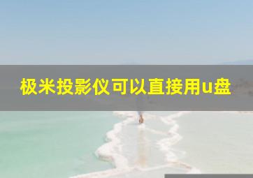 极米投影仪可以直接用u盘