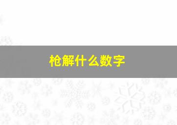 枪解什么数字