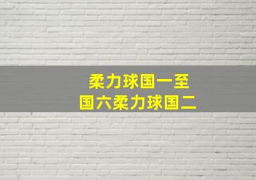 柔力球国一至国六柔力球国二