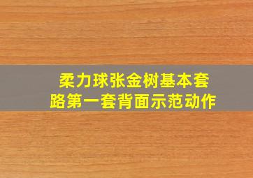 柔力球张金树基本套路第一套背面示范动作