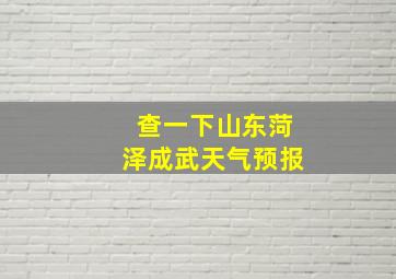 查一下山东菏泽成武天气预报