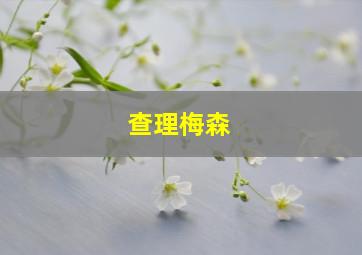 查理梅森