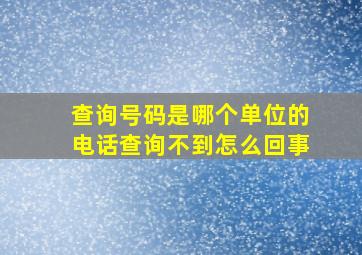 查询号码是哪个单位的电话查询不到怎么回事