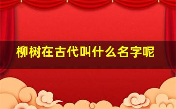 柳树在古代叫什么名字呢