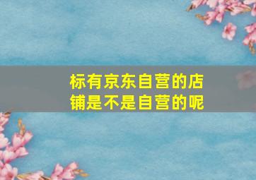 标有京东自营的店铺是不是自营的呢