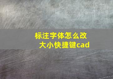 标注字体怎么改大小快捷键cad