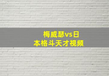 梅威瑟vs日本格斗天才视频