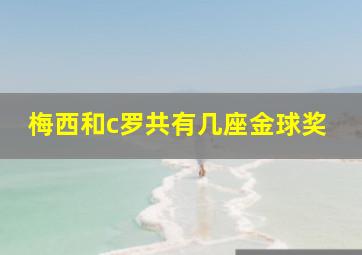 梅西和c罗共有几座金球奖