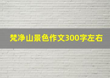 梵净山景色作文300字左右