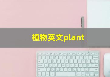 植物英文plant