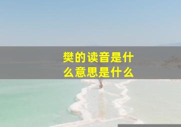 樊的读音是什么意思是什么