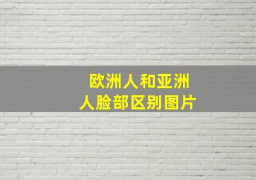 欧洲人和亚洲人脸部区别图片