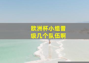 欧洲杯小组晋级几个队伍啊