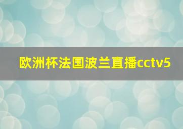 欧洲杯法国波兰直播cctv5