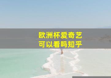 欧洲杯爱奇艺可以看吗知乎