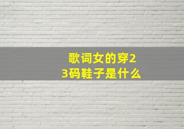 歌词女的穿23码鞋子是什么