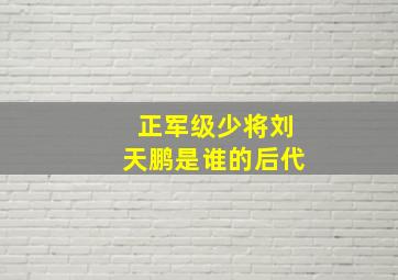 正军级少将刘天鹏是谁的后代