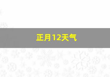 正月12天气