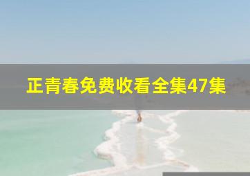 正青春免费收看全集47集