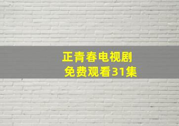 正青春电视剧免费观看31集