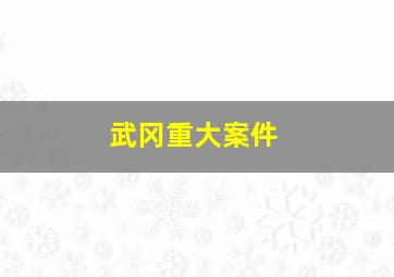 武冈重大案件