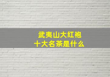 武夷山大红袍十大名茶是什么