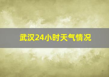 武汉24小时天气情况