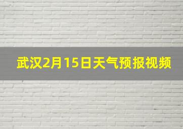 武汉2月15日天气预报视频